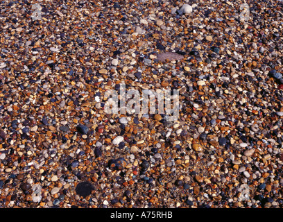 Spiaggia ghiaiosa Foto Stock