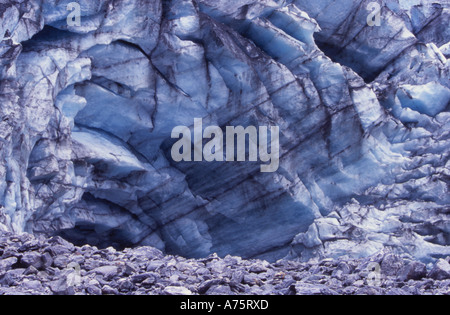 Fox Glacier faccia terminale Westland National Park Isola del Sud della Nuova Zelanda Foto Stock