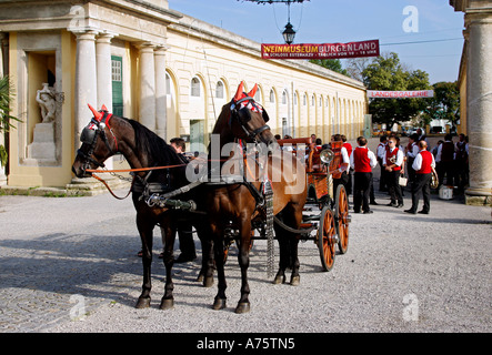 Eisenstadt Österreich Neusiedler See Austria città capitale del Burgenland Foto Stock