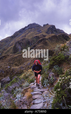 Escursionista sul Routeburn Track, Nuova Zelanda Foto Stock