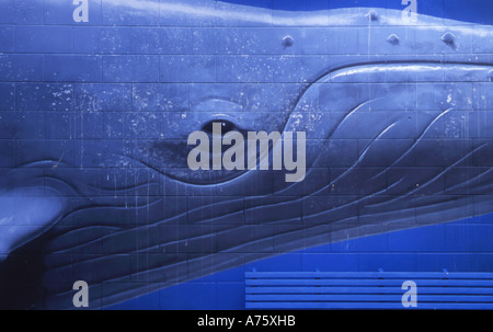 Humpback Whale murale di Kaikoura Isola del Sud della Nuova Zelanda Foto Stock