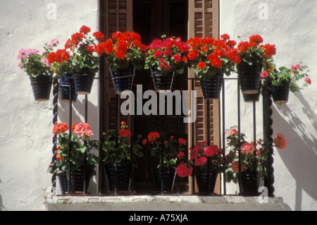 Balcone con vasi di gerani in Sitges vicino a Barcellona Foto Stock