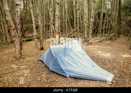Argentina, Tierra del Fuego, Tierra Del Fuego National Park. Campeggio situato nel bosco in prossimità di Ensenada Bay. Foto Stock