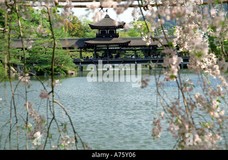 Blooming sakura nel Santuario Heian Giappone Kyoto Foto Stock