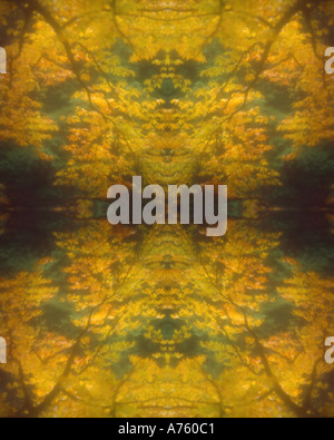 Autunno colori che riflettono Foto Stock