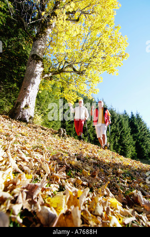 Coppia senior Nordic walking a basso angolo di visione Foto Stock