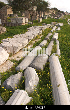 Le colonne in marmo giacente a terra nell'ippodromo, pneumatico, Libano Foto Stock