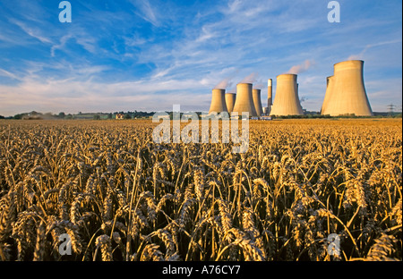 Ambrato per i campi di grano con Ratcliffe sulle aspre Coal Fired power station dietro nel sole del tardo pomeriggio. Foto Stock