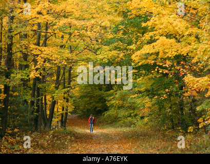 Donna che cammina nella foresta di caduta a Adirondack State Park, New York, Stati Uniti d'America Foto Stock