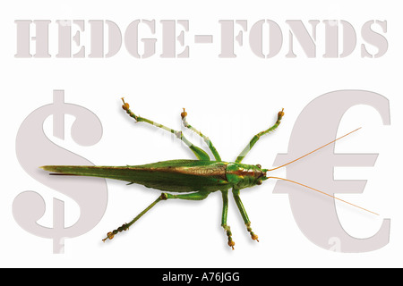 Grasshopper seduto su hedge-fonds segno, simbolo di tedesco per la critica di capitale Foto Stock