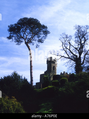 Dettaglio della parete esterna presso il Castello di Warwick Warwickshire Inghilterra Foto Stock