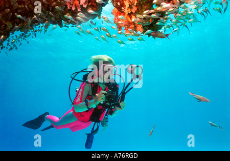 Un fotografo subacqueo con una secca di Glassfish (parapriacanthus guentheri) intorno a una barriera corallina. Foto Stock