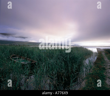 Piccola pesca/barca da pesca che spuntavano di alti giunchi verde su un irish lato lago Foto Stock