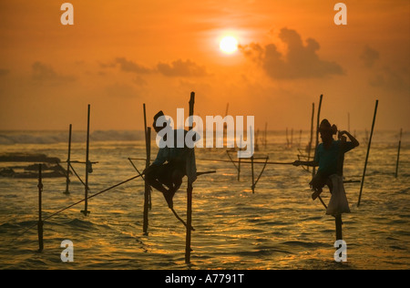Stilt pescatori al tramonto vicino Weligama, Sri Lanka. Foto Stock