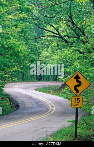 Strada tortuosa nelle montagne di Boston, Devil's Den parco statale, N.W. ARKANSAS. Maggio. Foto Stock