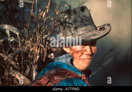 Una povera donna locale la raccolta di legno appena al di fuori di Huaraz in Perù, vestiti in abiti tradizionali e hat. Foto Stock