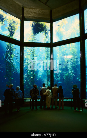 I turisti alla ricerca di kelp e pesce attraverso grandi finestre esterne presentano baia di Monterey Bay Aquarium Monterey in California Foto Stock