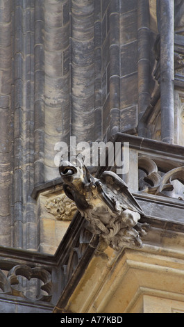 Bird Gargoyle sulla parete della Cattedrale di San Vito a Praga Repubblica Ceca Foto Stock