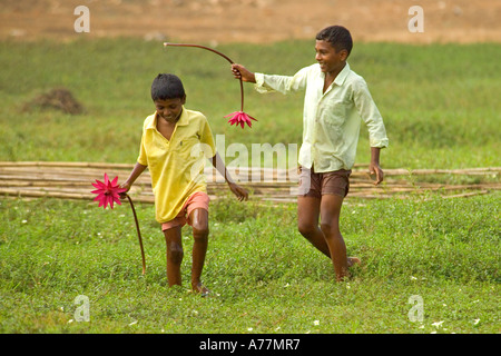 Due locali ragazzi indiani picking ragno rosso water lilies (Nymphaea) in prossimità di un lago in Goa. Foto Stock