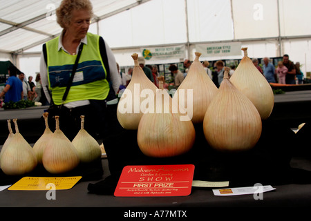 La perfetta onion vincitore al 2006 autunno malvern rhs flower show WORCESTERSHIRE REGNO UNITO Foto Stock