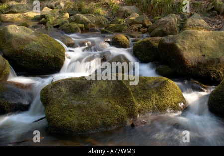 Il fiume scorre su rocce di Padley gola nel Derbyshire Peak District, REGNO UNITO Foto Stock