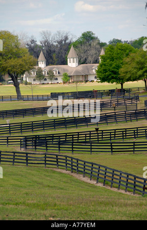 Allevamenti di cavalli in Ocala Florida FL Foto Stock