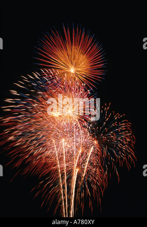Fuochi d'artificio Foto Stock