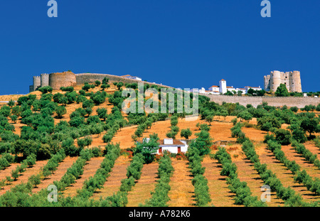 Il castello e il borgo di Evoramonte, Alentejo, Portogallo Foto Stock