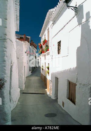 Una strada nel dipinto di bianco pueblo blanco borgo collinare di Salares, Andalusia Andalusia Foto Stock