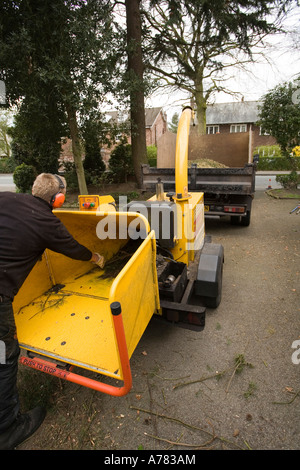 La manutenzione del giardino tree chirurgo rami di alimentazione trinciatore in legno di triturazione in piccoli trucioli Foto Stock