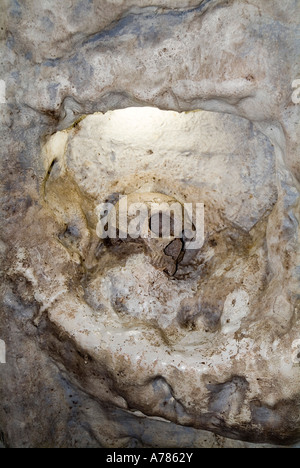 dh grotte preistoriche sito ST MICHAELS CAVE GIBILTERRA replica del primo tipo Neanderthal cranio umano preistoria uomo cranio scheletro resti scheletro Foto Stock