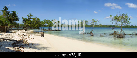 India Isole Andaman Havelock Govindnagar spiaggia del villaggio di mangrovie panoramic Foto Stock