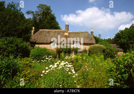 Dorset Regno Unito superiore Bockhampton Autore Thomas Hardys luogo di nascita Foto Stock