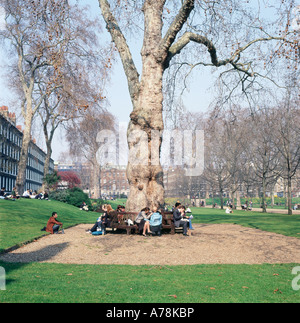 Persone seduti all'aperto rilassarsi a pranzo su una panca da un grande albero di aerei in Grays Inn Gardens in primavera City of London Inghilterra Regno Unito KATHY DEWITT Foto Stock