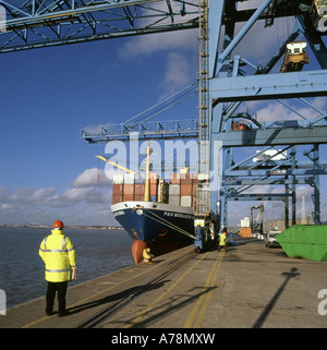 Supervisore di procedure di controllo in corrispondenza di Tilbury dock durante la manipolazione dei contenitori su ormeggiati freighter Foto Stock