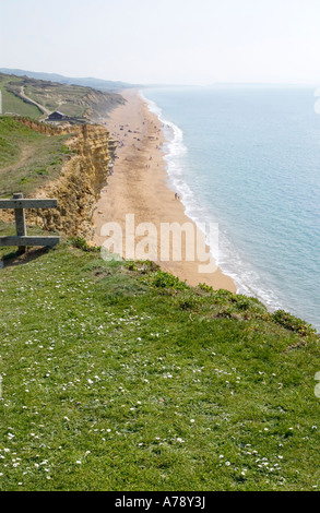 Vista est sul Southwest Coast Path, Burton Bradstock, Dorset, sulla scogliera e Chesil Beach, la famosa Jurassic Coast, Inghilterra, Regno Unito Foto Stock