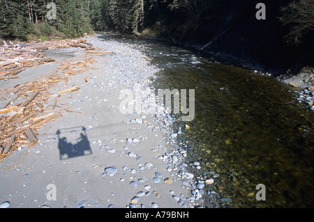 Ombra di escursionisti che attraversa il fiume Carmanah in funivia West Coast Trail Isola di Vancouver BC Foto Stock