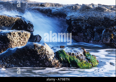 Spruzzi d'onda contro una roccia a spiaggia botanico Parco Provinciale BC Foto Stock