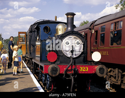 Ferrovia Bluebell Sussex England Foto Stock