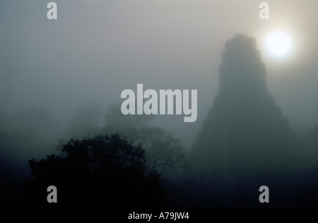 Sunrise dietro il tempio IV in una nebbiosa mattina nella giungla e rovine maya di Tikal Guatemala Foto Stock