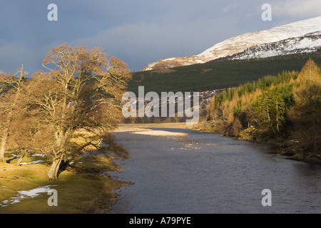 Vista invernale verso Morrone Hill lungo il fiume Dee visto dal Victoria Bridge Mar Lodge, Cairngorms National Park, Scozia, Royal Deeside, Regno Unito Foto Stock