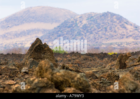 Il SHEITANI flusso lavico Chyulu Hills vulcan vulcano Tsavo ovest del Kenya Africa orientale Foto Stock