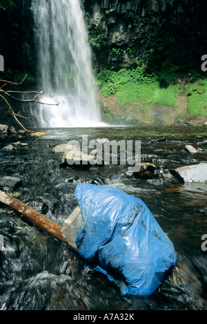 Acqua inquinata Foto Stock