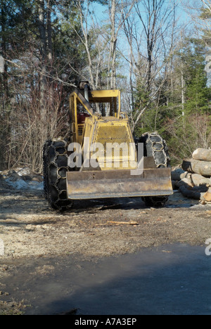 La trascinatronchi in New Hampshire forest Foto Stock