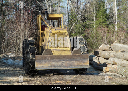 La trascinatronchi in New Hampshire forest Foto Stock