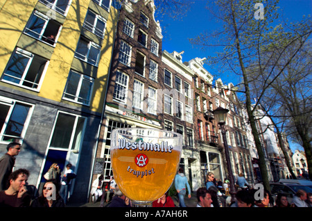 Un bicchiere di birra incandescente nella luce del sole in una piscina pub di Amsterdam Foto Stock