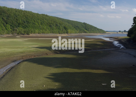 Lindley serbatoio di legno. Asciutto. Yorkshire acqua. Foto Stock