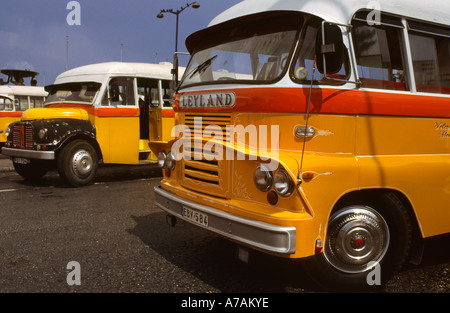 Bus preistorici nella valletta di Malta 1 Foto Stock