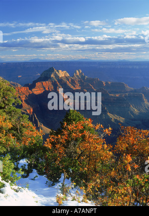 Parco Nazionale del Grand Canyon in Arizona da Bright Angel punto sul bordo settentrionale Foto Stock