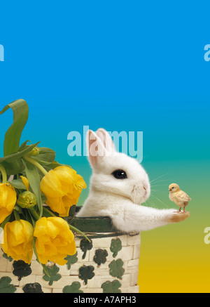 Migliori amici AMICI Foto Stock